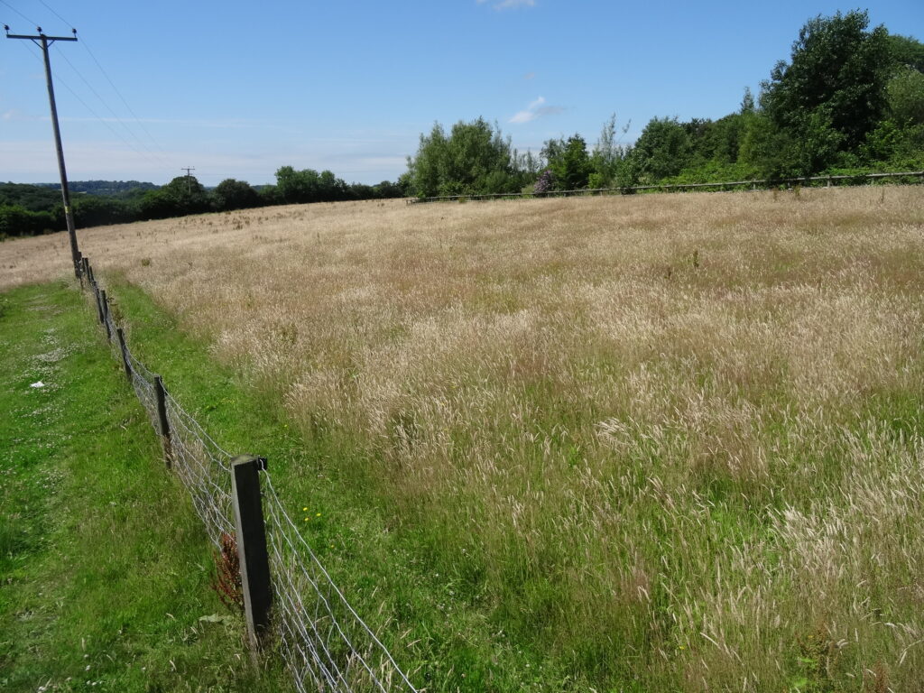 North Devon, Land at Cleave Hill, Hilltop, Cleave Hill, Winkleigh