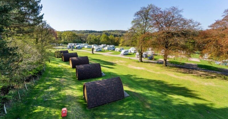 Duo of Lettings Completed on Behalf of Forestry England