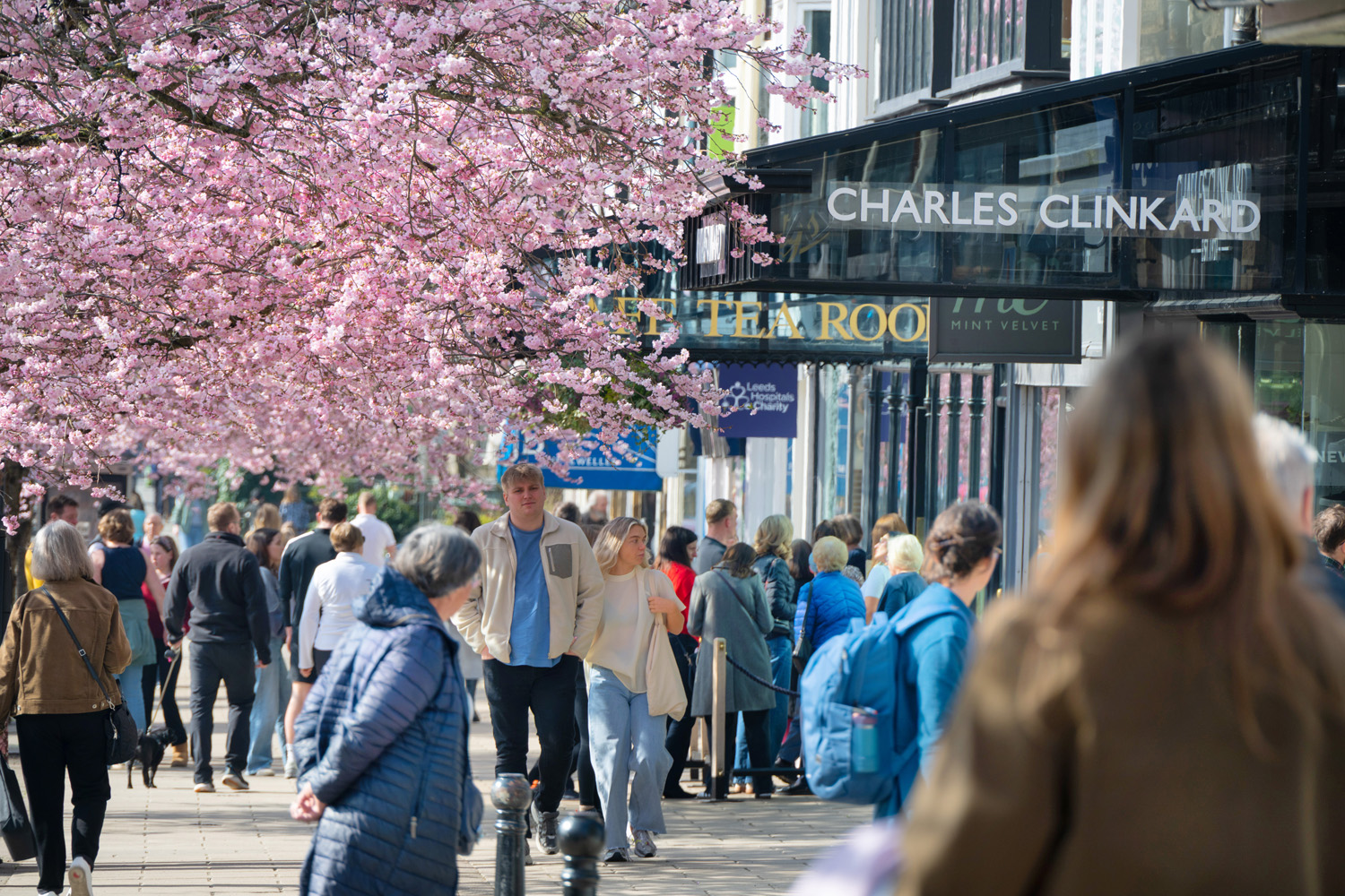 d46205f5eb41f9155d6841d95d984d94-48-the-grove-ilkley-026.jpg