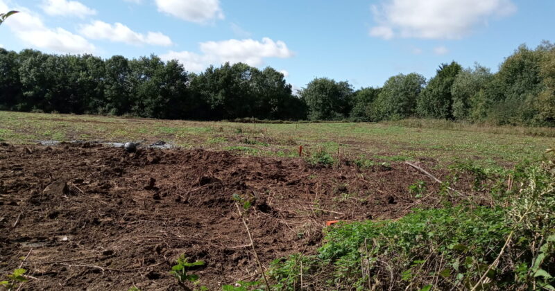 Option Agreement reached on two strategic land sites