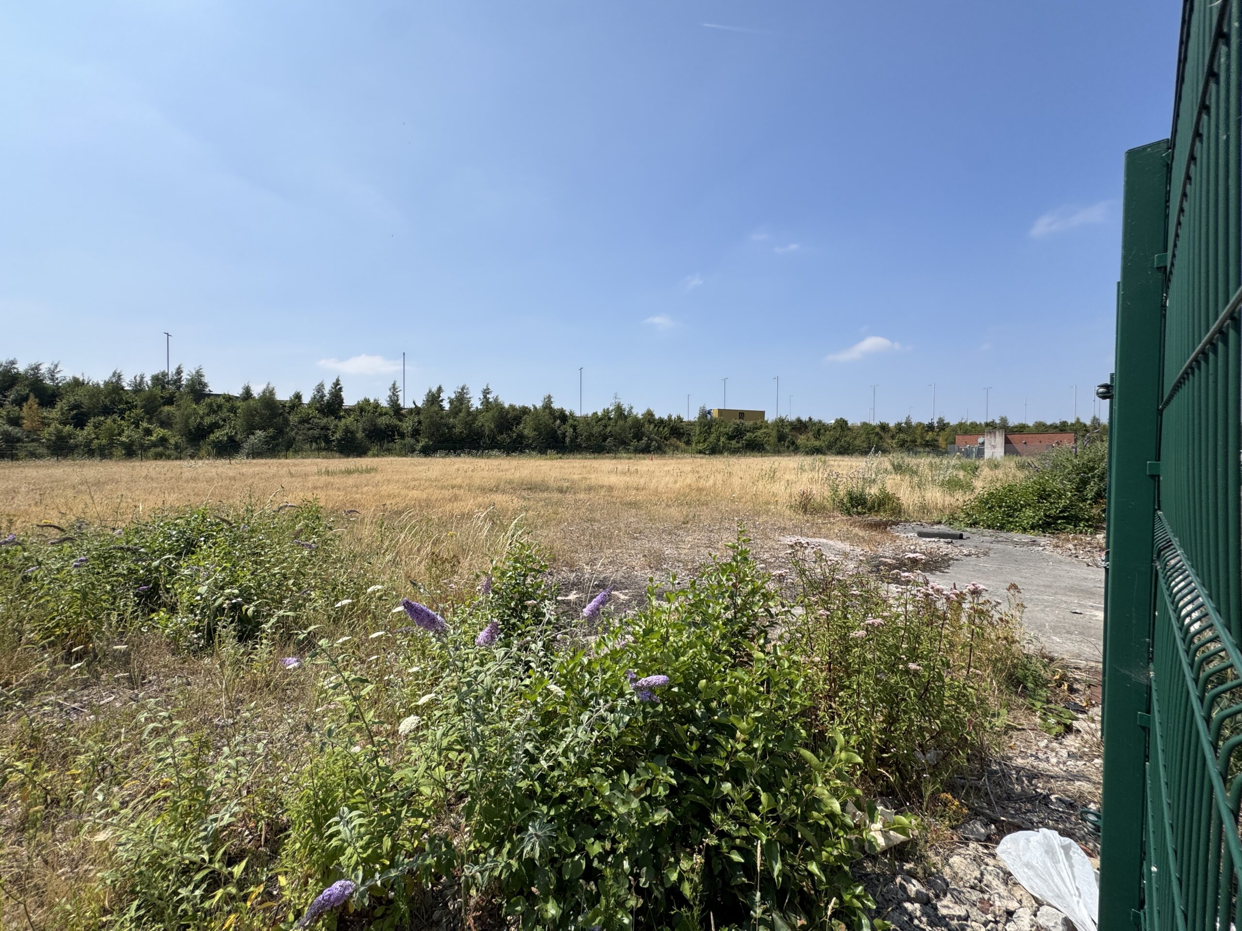 13bc42228af7f830100a2afacdf86aea-img-0355.JPG